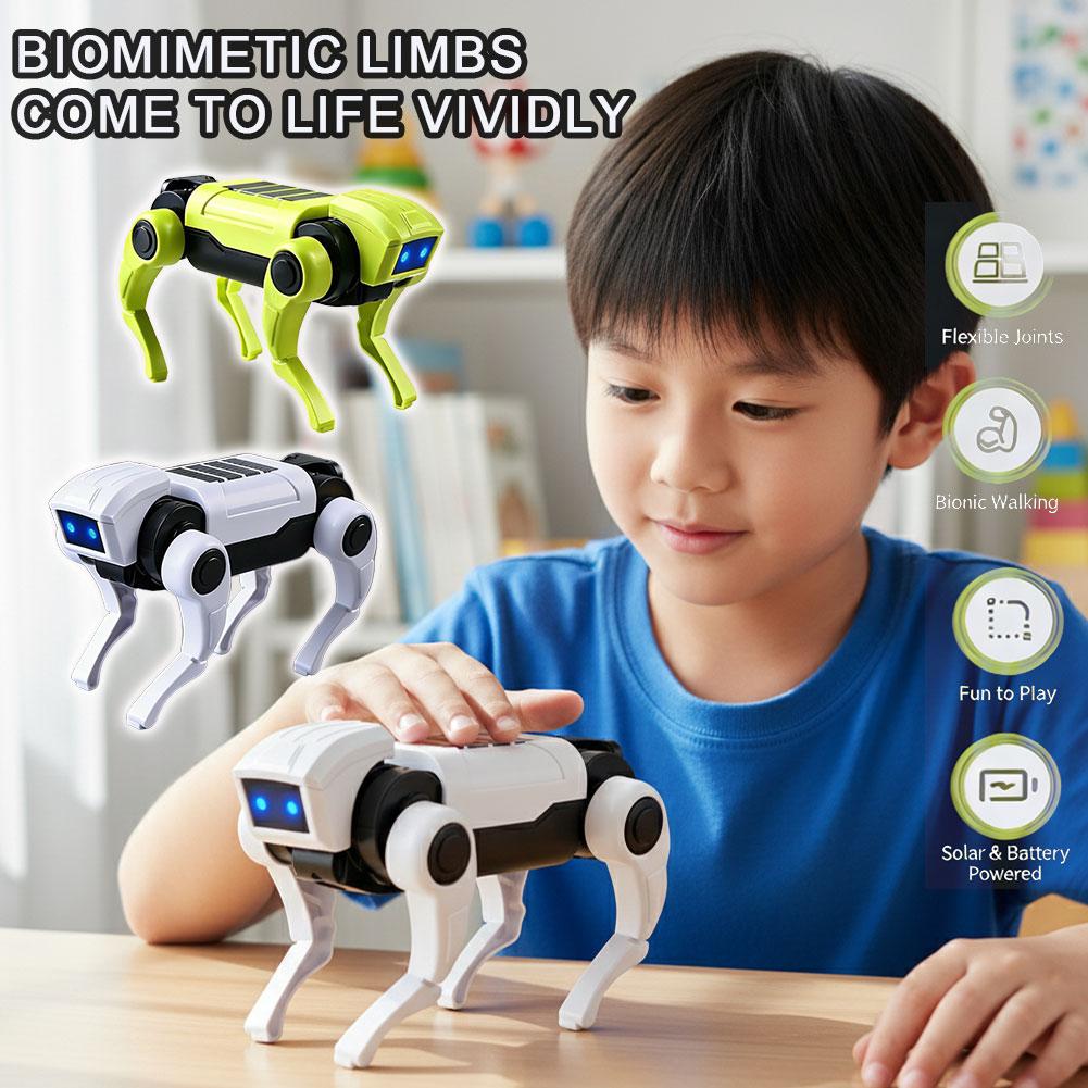 DIY Assembly RC Robot Dog Toy  - Diy Electronics Kids review and price
