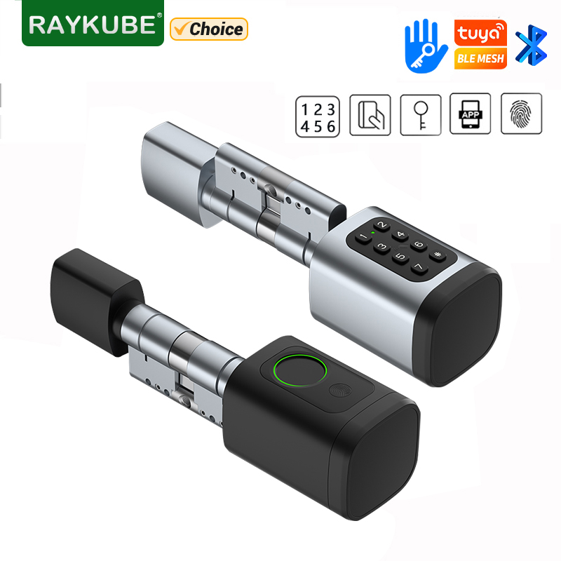 RAYKUBE V1 Tuya BLE TT Lock Sm - Diy Home Electronics review and price