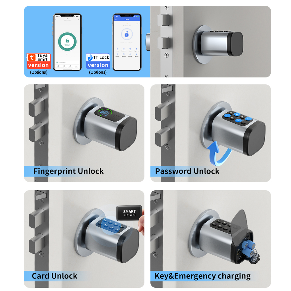 RAYKUBE V1 Tuya BLE TT Lock Sm - Diy Home Electronics review and price