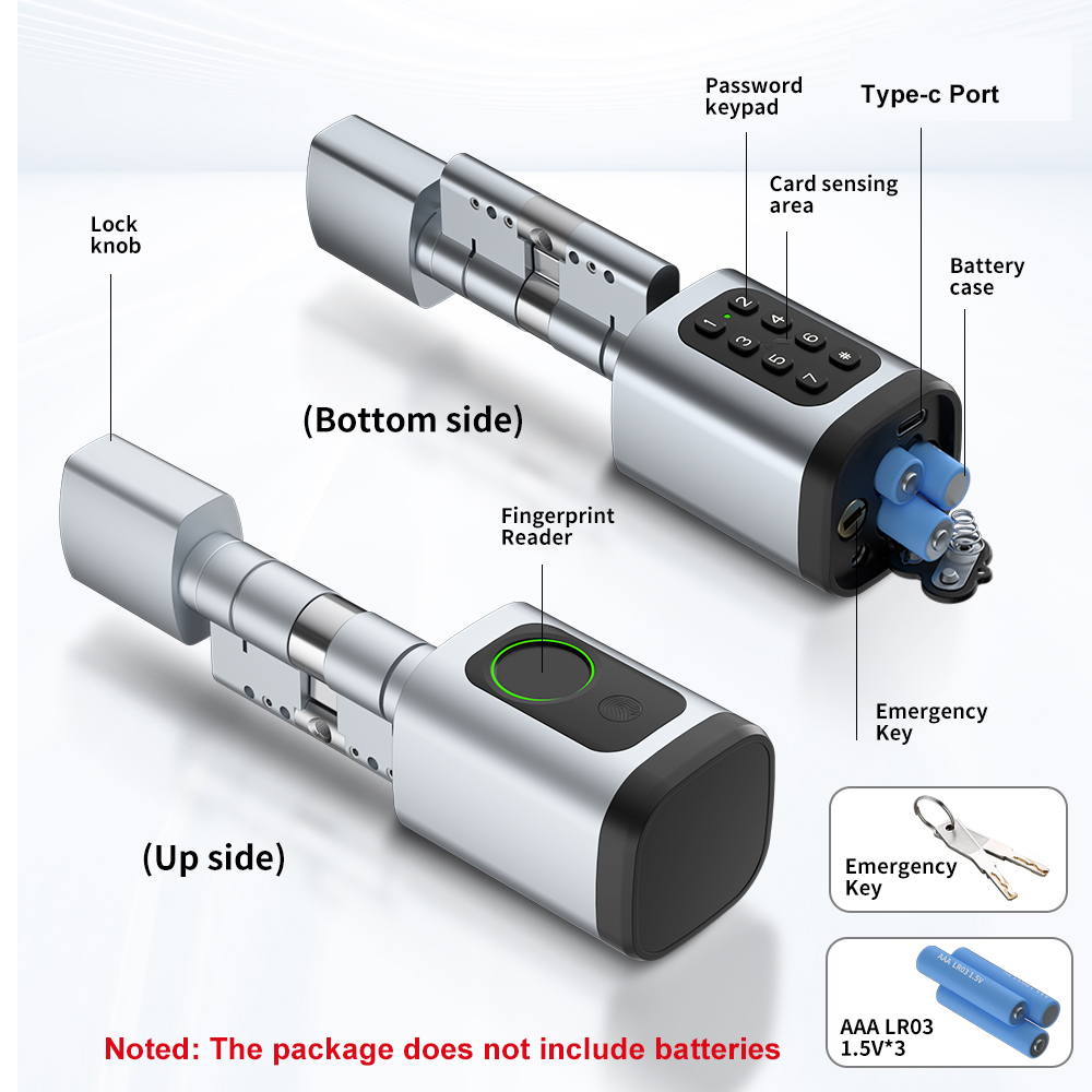 RAYKUBE V1 Tuya BLE TT Lock Sm - Diy Home Electronics review and price