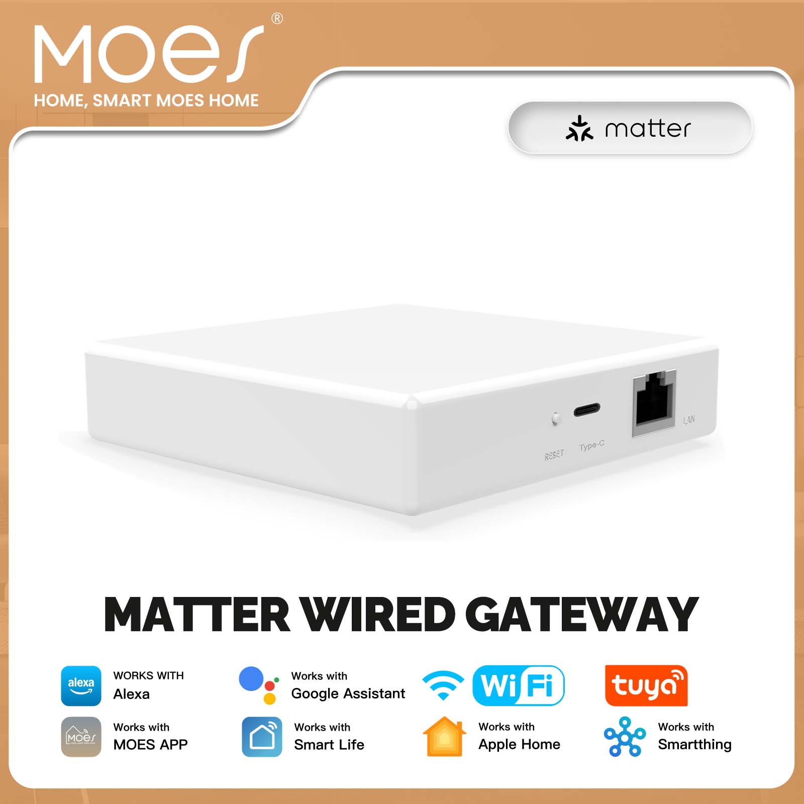 MOES Tuya ZigBee Matter Thread - Diy Home Electronics review and price